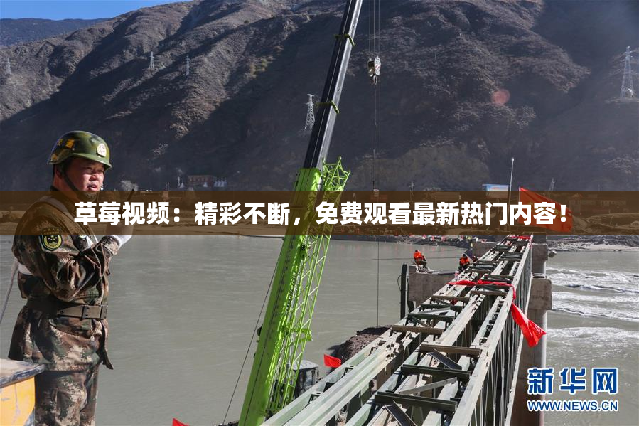 草莓视频：精彩不断，免费观看最新热门内容！