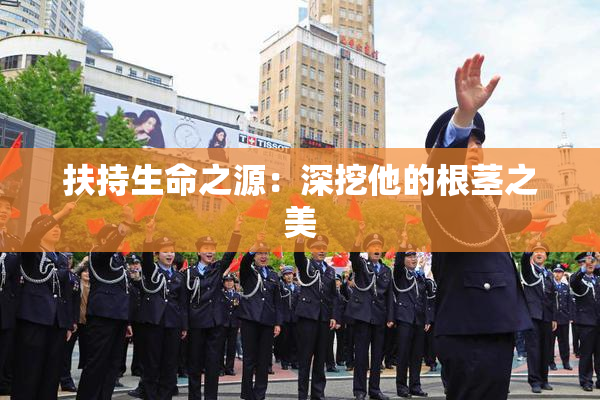 扶持生命之源：深挖他的根茎之美