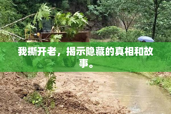 我撕开老，揭示隐藏的真相和故事。