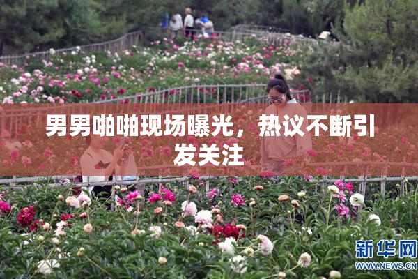 男男啪啪现场曝光，热议不断引发关注