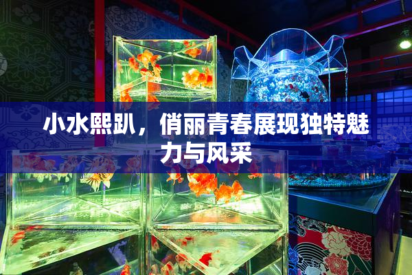 小水熙趴，俏丽青春展现独特魅力与风采