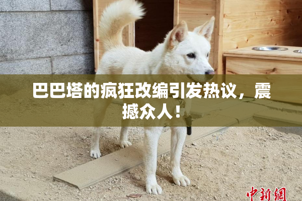 巴巴塔的疯狂改编引发热议，震撼众人！
