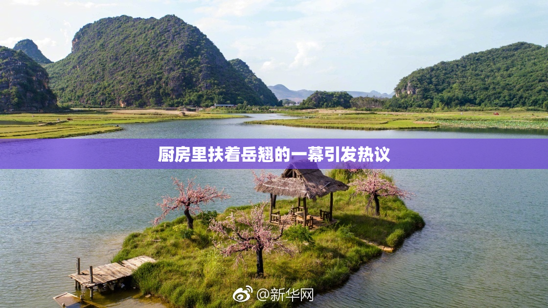 厨房里扶着岳翘的一幕引发热议