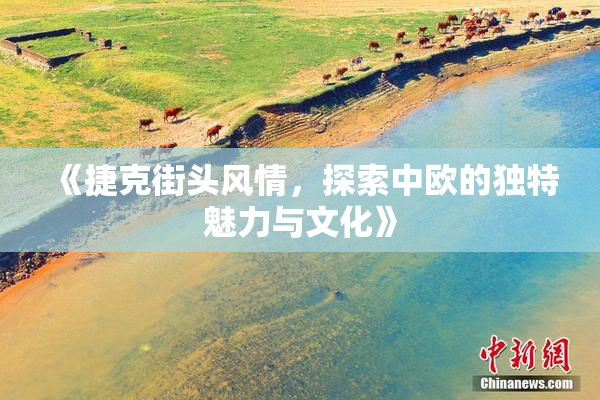 《捷克街头风情，探索中欧的独特魅力与文化》