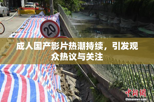 成人国产影片热潮持续，引发观众热议与关注