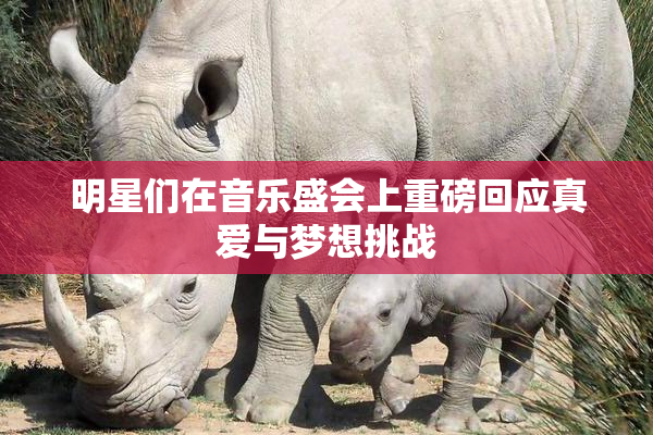 明星们在音乐盛会上重磅回应真爱与梦想挑战