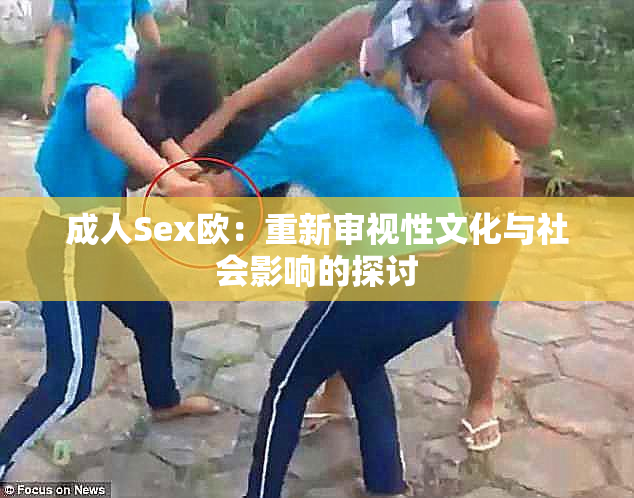 成人Sex欧：重新审视性文化与社会影响的探讨