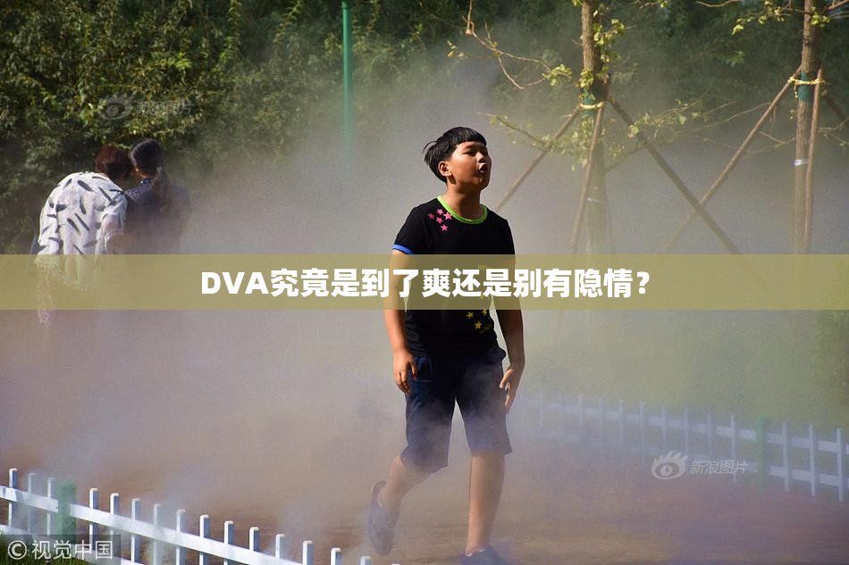 DVA究竟是到了爽还是别有隐情？