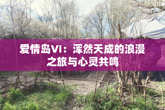 爱情岛VI：浑然天成的浪漫之旅与心灵共鸣