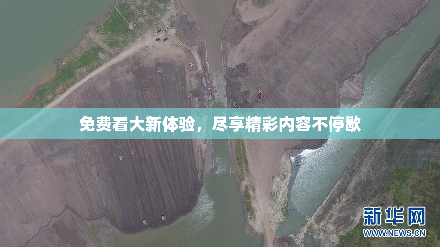 免费看大新体验，尽享精彩内容不停歇