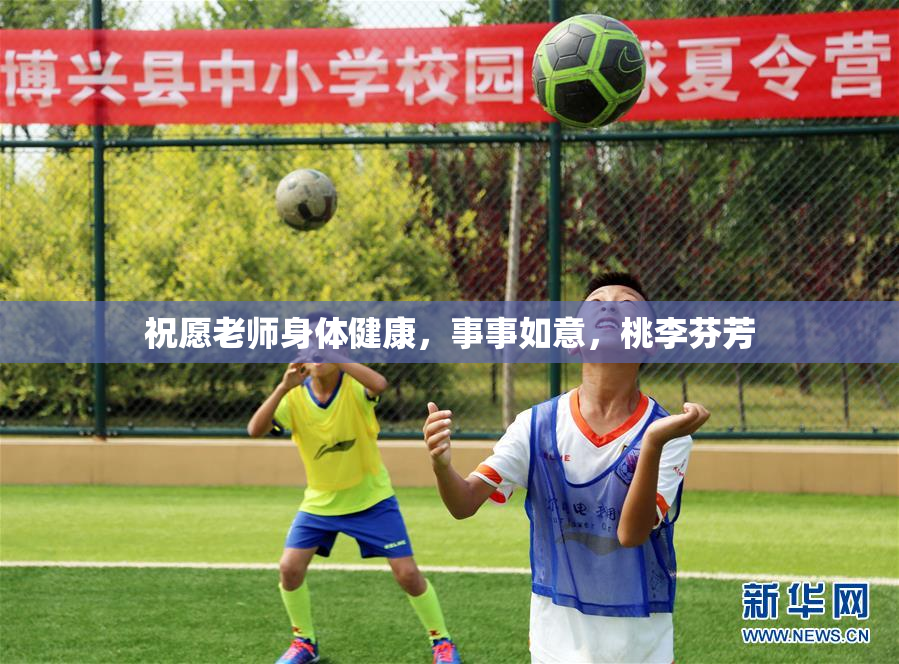 祝愿老师身体健康，事事如意，桃李芬芳