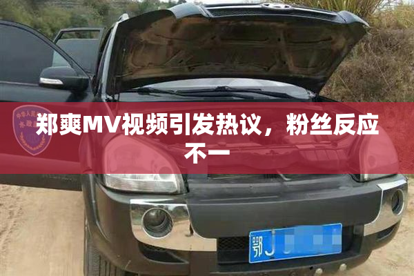 郑爽MV视频引发热议，粉丝反应不一