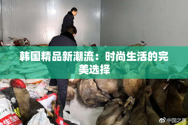 韩国精品新潮流：时尚生活的完美选择