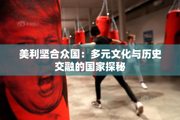 美利坚合众国：多元文化与历史交融的国家探秘