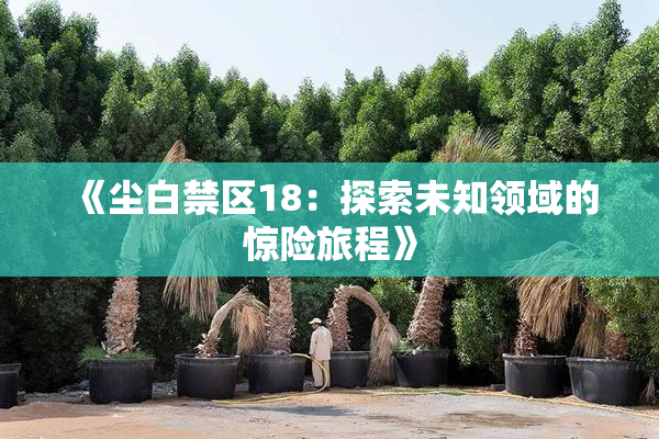 《尘白禁区18：探索未知领域的惊险旅程》