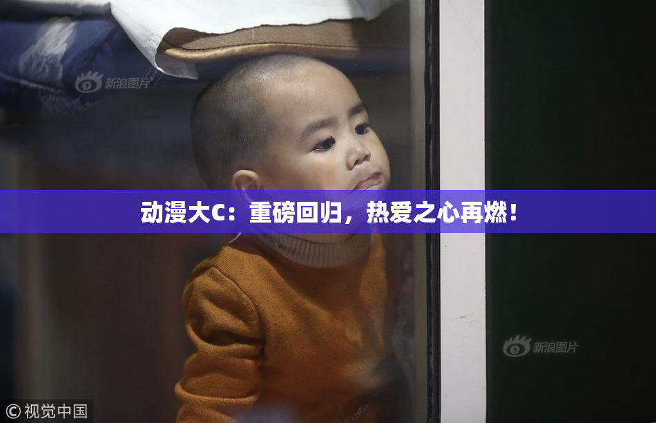 动漫大C：重磅回归，热爱之心再燃！