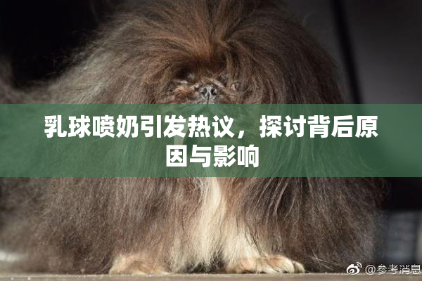 乳球喷奶引发热议，探讨背后原因与影响