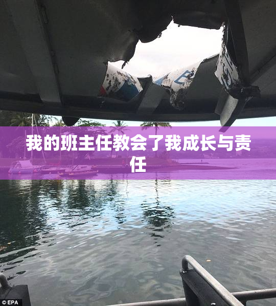 我的班主任教会了我成长与责任