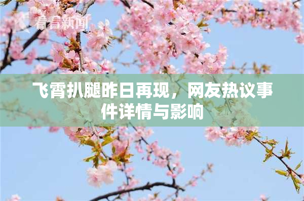 飞霄扒腿昨日再现，网友热议事件详情与影响