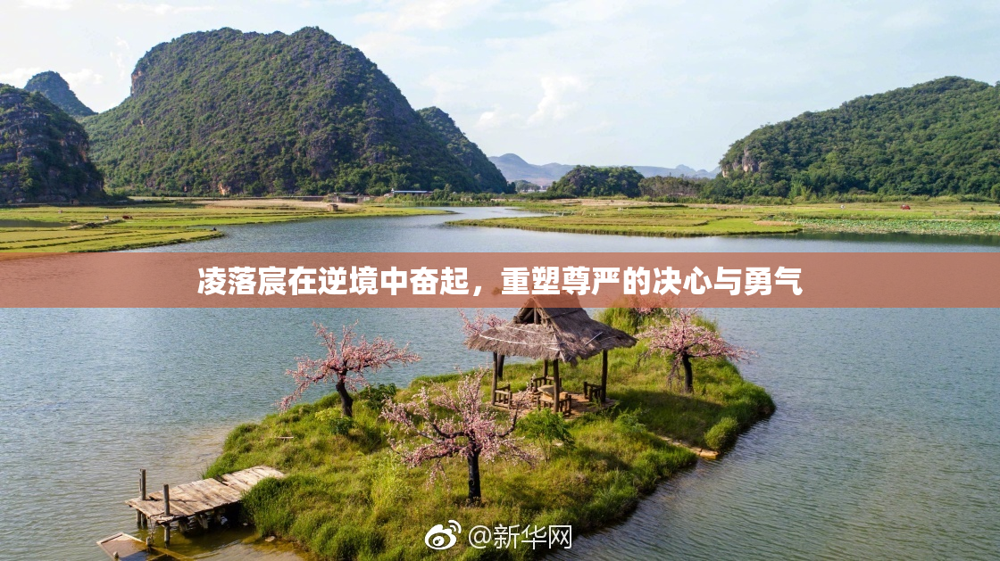 凌落宸在逆境中奋起，重塑尊严的决心与勇气