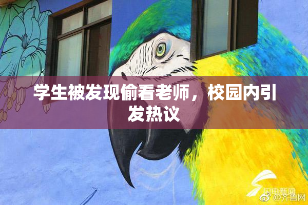 学生被发现偷看老师，校园内引发热议