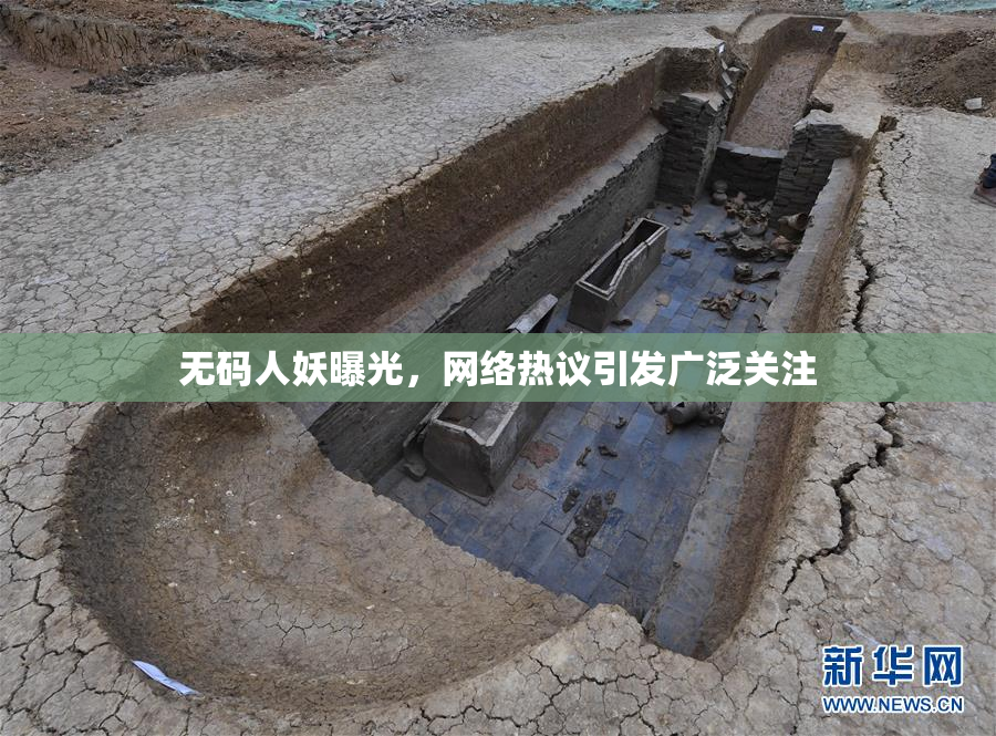 无码人妖曝光，网络热议引发广泛关注