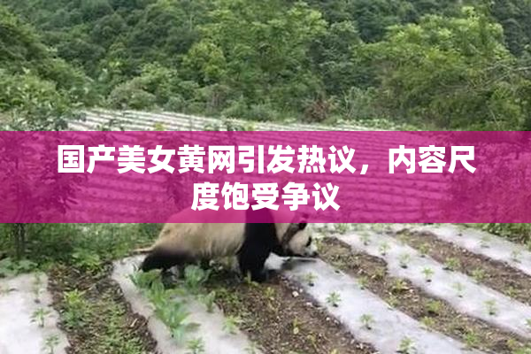 国产美女黄网引发热议，内容尺度饱受争议