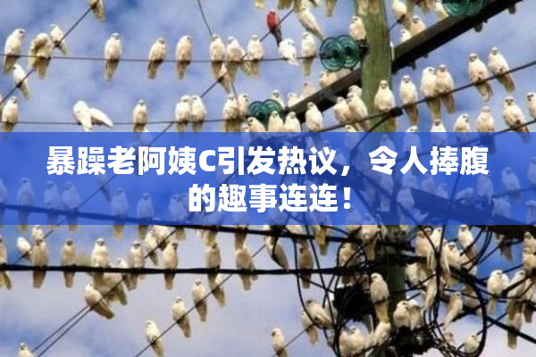 暴躁老阿姨C引发热议，令人捧腹的趣事连连！