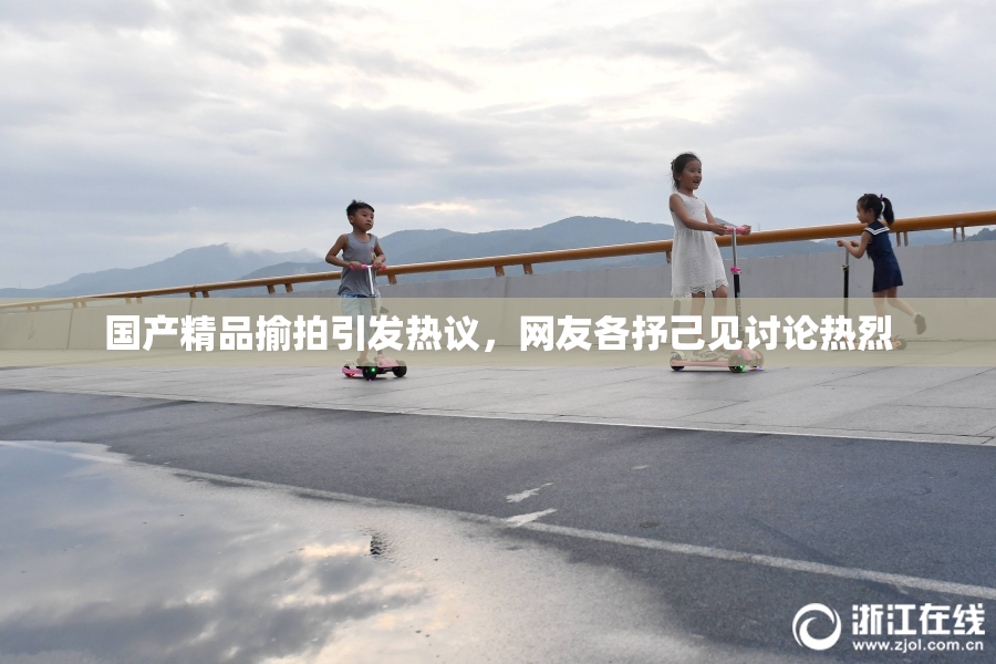 国产精品揄拍引发热议，网友各抒己见讨论热烈