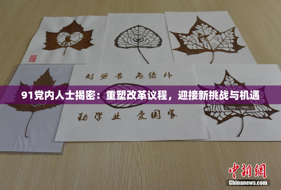 91党内人士揭密：重塑改革议程，迎接新挑战与机遇