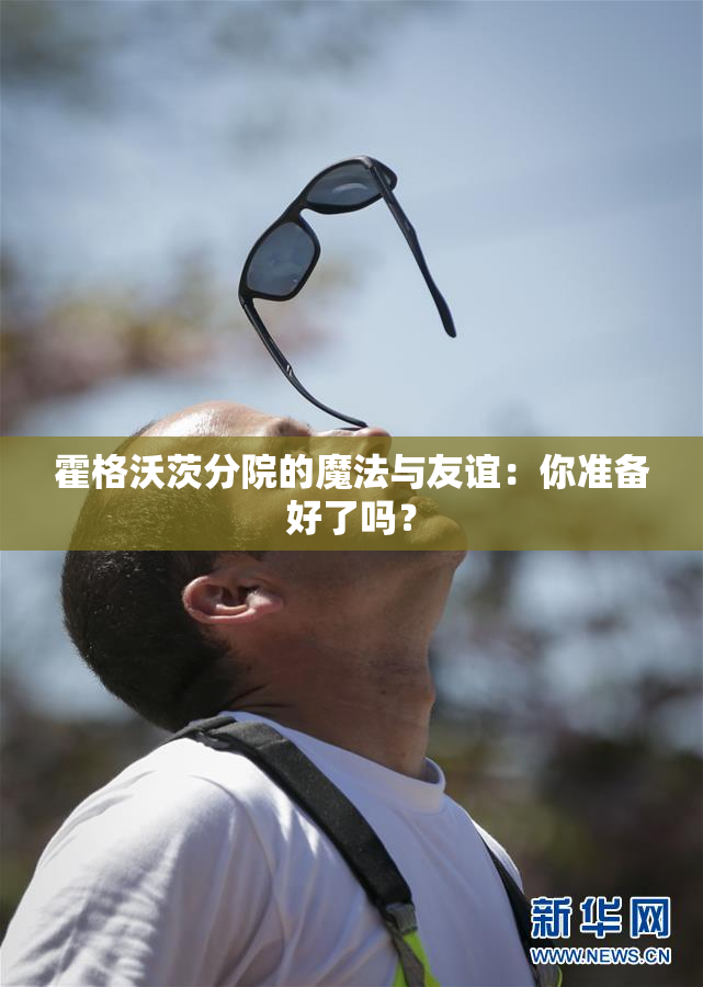 霍格沃茨分院的魔法与友谊：你准备好了吗？