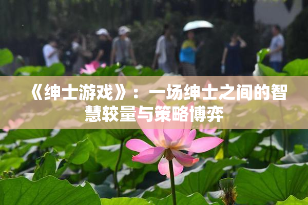 《绅士游戏》：一场绅士之间的智慧较量与策略博弈