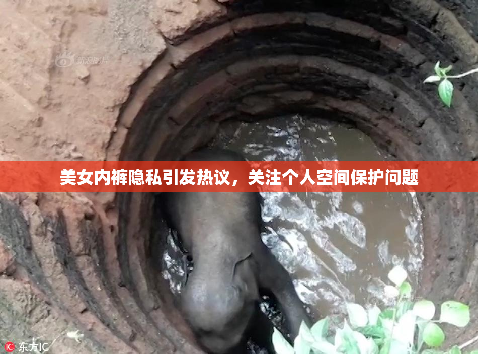 美女内裤隐私引发热议，关注个人空间保护问题