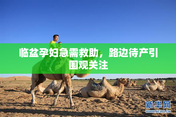 临盆孕妇急需救助，路边待产引围观关注