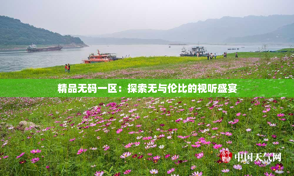 精品无码一区：探索无与伦比的视听盛宴