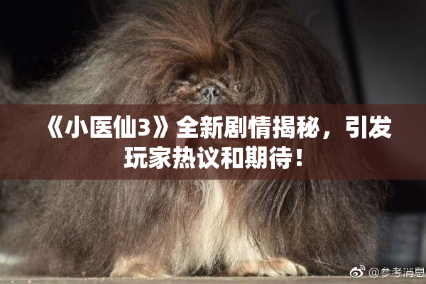 《小医仙3》全新剧情揭秘，引发玩家热议和期待！