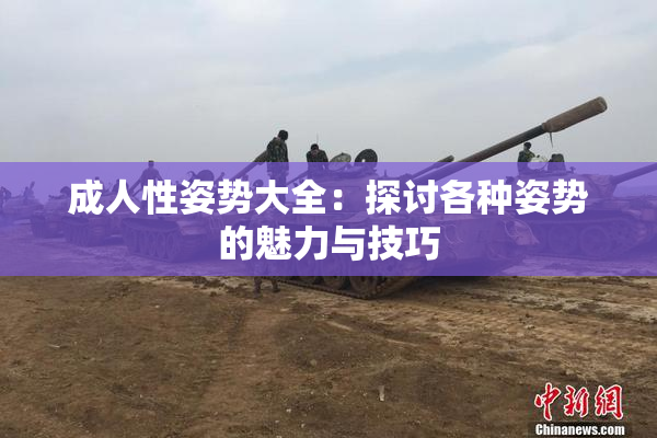 成人性姿势大全：探讨各种姿势的魅力与技巧