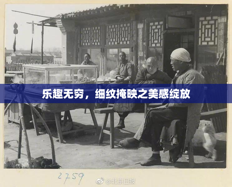 乐趣无穷，细纹掩映之美感绽放