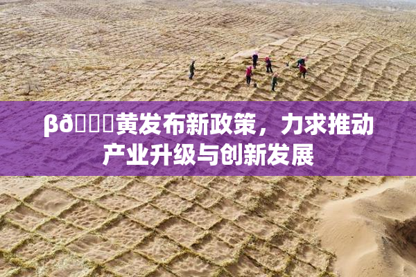 β🔞黄发布新政策，力求推动产业升级与创新发展