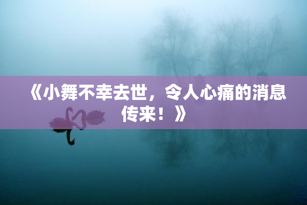 《小舞不幸去世，令人心痛的消息传来！》