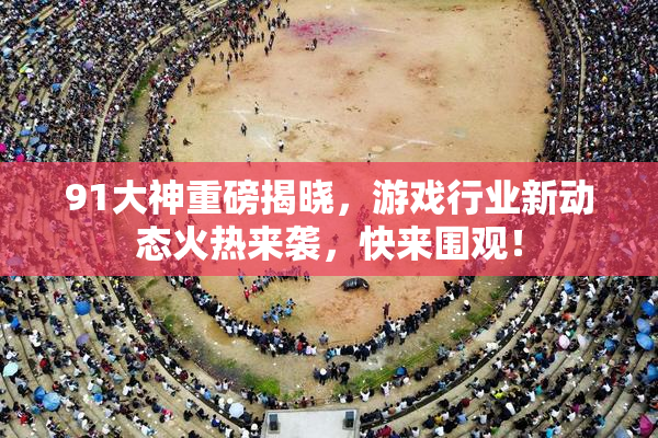 91大神重磅揭晓，游戏行业新动态火热来袭，快来围观！