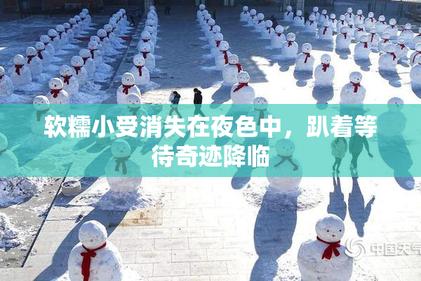 软糯小受消失在夜色中，趴着等待奇迹降临