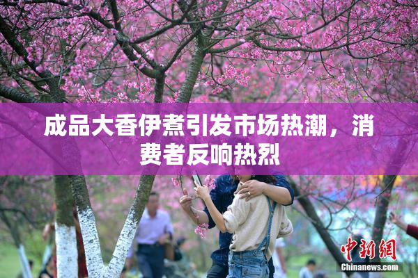 成品大香伊煮引发市场热潮，消费者反响热烈
