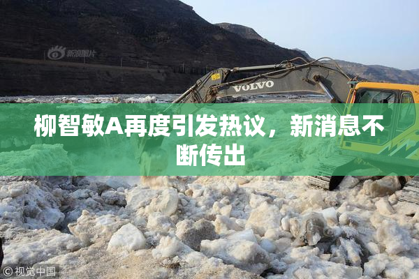 柳智敏A再度引发热议，新消息不断传出