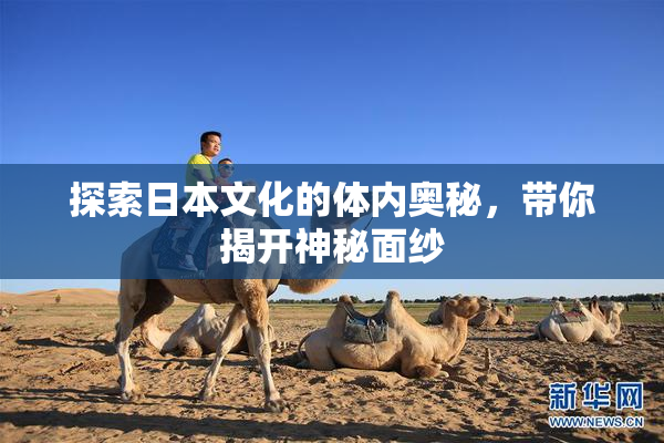 探索日本文化的体内奥秘，带你揭开神秘面纱