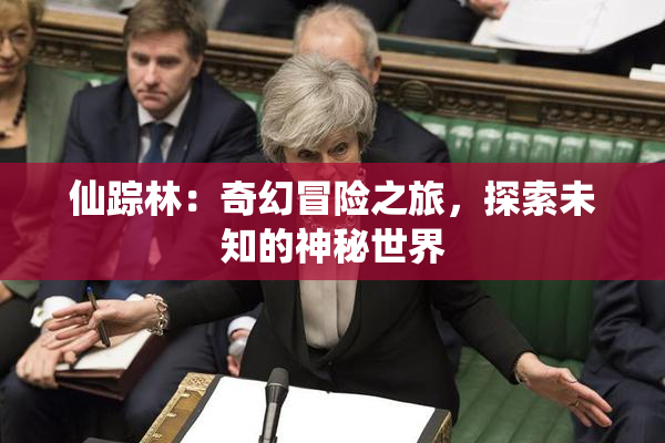 仙踪林：奇幻冒险之旅，探索未知的神秘世界