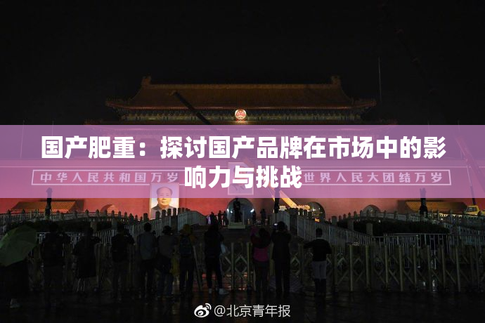 国产肥重：探讨国产品牌在市场中的影响力与挑战