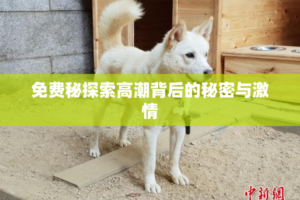 免费秘探索高潮背后的秘密与激情