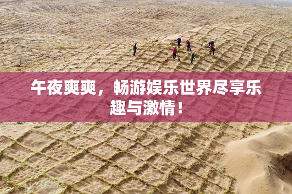 午夜爽爽，畅游娱乐世界尽享乐趣与激情！