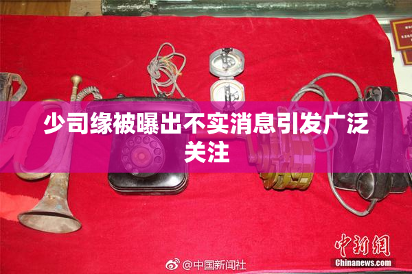 少司缘被曝出不实消息引发广泛关注